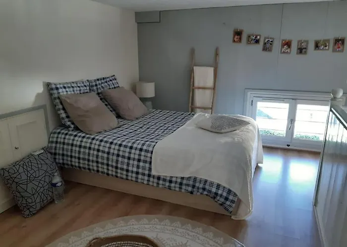 Cosy A 20 Metres De La Plage * Royan