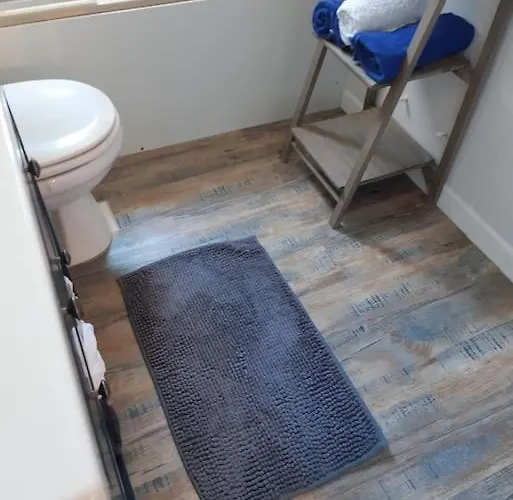 Daire Cosy A 20 Metres De La Plage Royan