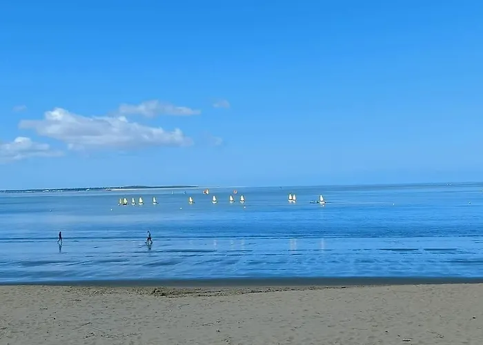 公寓 Cosy A 20 Metres De La Plage 鲁瓦扬